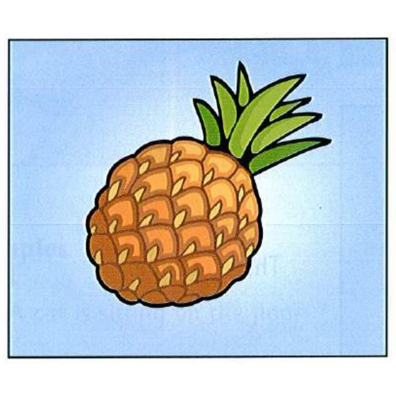 Example 2: pineapple
