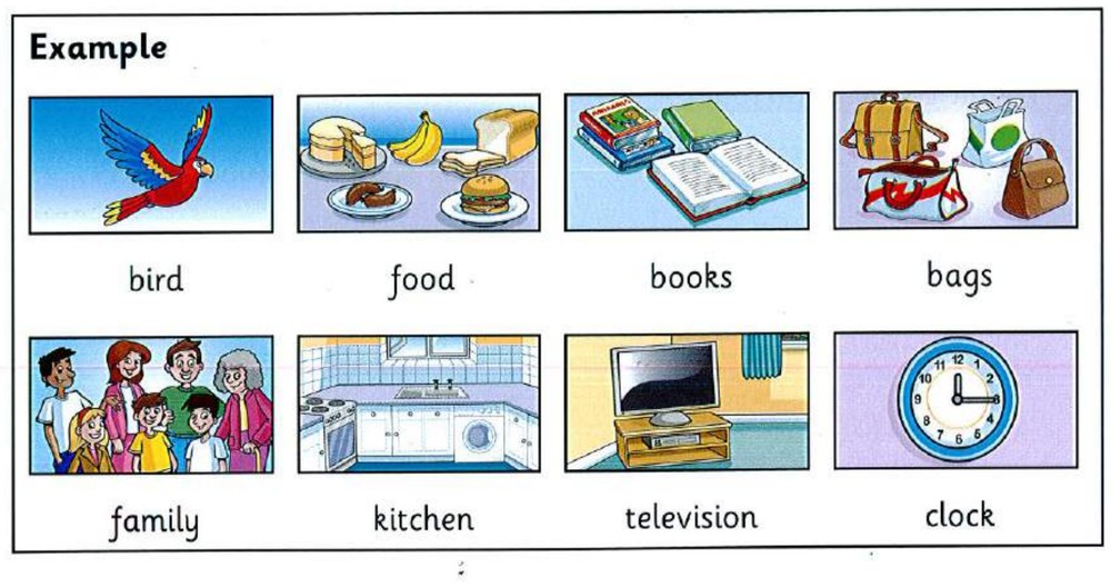 Word bank: bird, food, books, bags, family, kitchen, television, clock