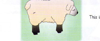 Example 2