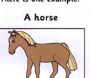 A horse
