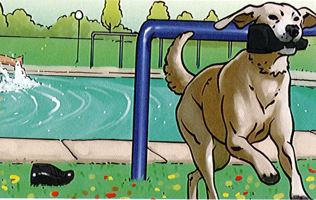 Noah's dog running off with his shoe while Noah swims