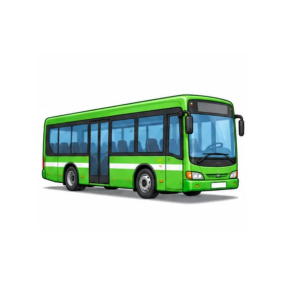 by bus