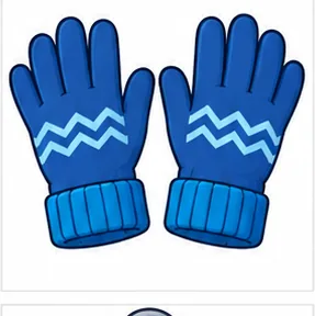 gloves